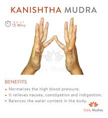 Pin On Yoga Mudras