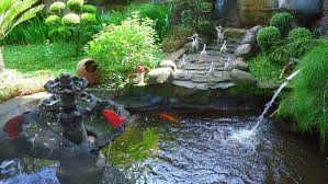 Namun tidak banyak orang yang berpikir bahwa rumah minimalis dapat menjadi rumah idaman sebagai tempat huni bagi anda sekeluarga. Kreasi Kolam Ikan Mini Pada Rumah Blog Jualrumahjakarta Com