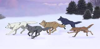 Witch Wolfs Rain Character Are You Proprofs Quiz But kiba isn't the only one in search for cheza as her psychic abilities leave her open to other, less favourable characters. witch wolfs rain character are you