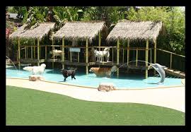 At the accommodation guests are welcome to take advantage of an indoor swimming pool. Lakewood Ranch Pet Paradise Vet Services Pet Pet Shope