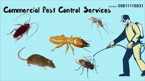 It is leading to increasing pollution which includes nuisance causing pests like the the firm features you with a dozen of free services including pest inspections and much more. Pest Control Company In Delhi Noida Gurgaon Ghaziabad Faridabad