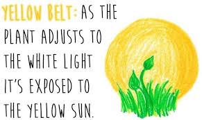 A Yellow Belt Is Exposed Yellowbelt Personaldevelopment Personalgrowth Spirituality Martialarts Lifestyl Karate Martial Arts Belts Karate Belt