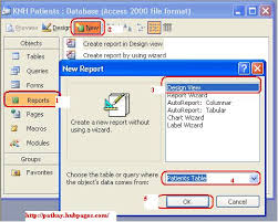 how to create reports using microsoft office access 2003