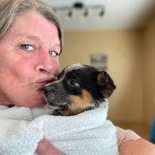 THE BEST 10 Pet Groomers near RESCUE, CA 95672