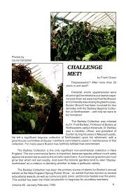 Image result for Begonia brevibracteata