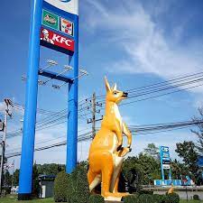 Kangaroos Are Native To Thailand Didnt You Know Lol Thailand Lol Kangaroo
