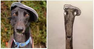 Would you like a soft glow or. Crappy Pet Portraits A Smashing Success For Charity