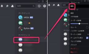 ゲーマー向けチャット Discord の使い方 Dl方法から拡張機能まで徹底解説 Appliv Topics