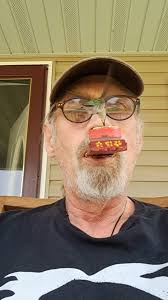 What is the name of this small bird species?