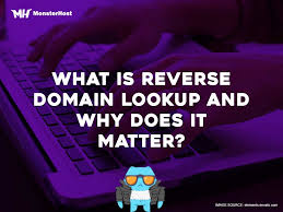 Reverse Domain Lookup Explained Dns Monsterhost