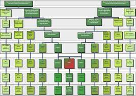 Surprises In The Family Tree Family Tree Genealogy Family Genealogy Relationship Chart