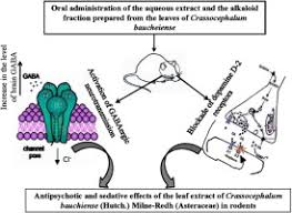 Image result for Crassocephalum bauchiense