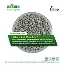 Synthetic fertilizers are made by chemically processing. Facebook