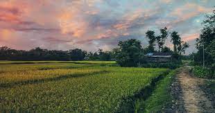 These quotes about nature will inspire you to go outside and teach you to appreciate the great outdoors. Yaruingam 1960 Revisiting The Assamese Literary Classic And Its Idea Of People S Rule Economic And Political Weekly