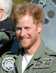 Photos of Prince Harry's New Beard