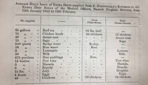 • istanbul florence nightingale hospital was opened in 2013 as the first green hospital in turkey. Lady In The Archives The Life Of Florence Nightingale Part Two The National Archives Blog