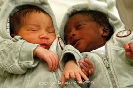 Norbrun Kerry Care-ry