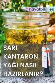 sari kantaron yagi nasil hazirlanir faydalari nelerdir hayat bilgileri dogal saglik saglik saglikli yasam tarzi