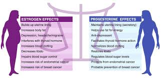 In addition to polyphenols, they also contain lignans, which can counteract the effects of estrogen in the body and interfere with estrogen production. Estrogen Dominance