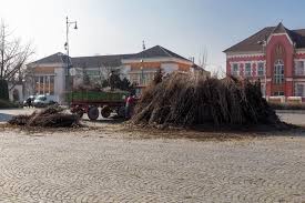Find 72 traveller reviews, 103 candid photos, and prices for hotels in mohacs, hungary. Busojaras In Mohacs Buschofest Erster Eindruck Vom Maskenkarneval