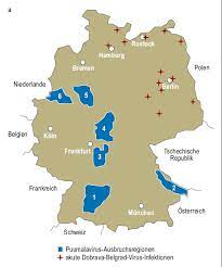 Besonders im süden des landes kommt es. Https Www Nlga Niedersachsen De Download 82288 Hantavirus Infektionen In Niedersachsen Auswertung Der Intensivierten Suveillance Der Jahre 2008 2012 Pdf