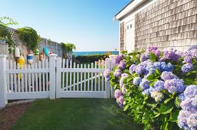 Check spelling or type a new query. Hydrangea Festival Back In Bloom On Cape Cod