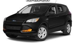 Image result for Lime Squeeze 2012 Escape