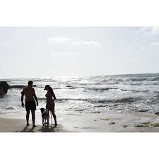 Profil untuk Yafit Mizrahi