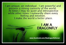 Dragonfly Meaning Quotes Google Search Dragonfly Meaning Meant To Be Quotes Dragonfly Quotes