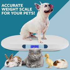 Smart Scale For Pets