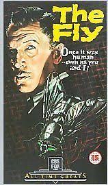 MOVIES Vincent Winter Scottish child actor circa 1954 OLD PHOTO