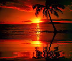Sunset Wallpaper Gif The best gifs for sunset beach. sunset wallpaper gif