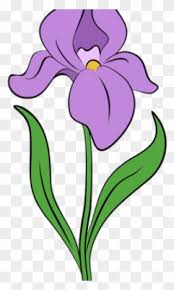 Free Free Iris Flower Svg 189 SVG PNG EPS DXF File