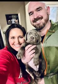 Sterling Shades Labradors of Arkansas