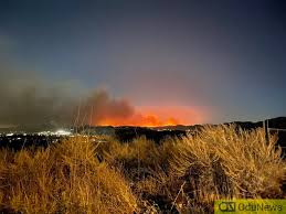 3 and was growing rapidly as mandatory evacuations. Bond Fire In Silverado Canyon Forces Residents To Evacuate Their Homes