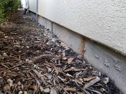 For an active infestation, we typically suggest getting a pest control service company to do the work for subterranean (ground) termites. Termite Facts And Fiction Bio Tech Pest Control Termite And Pest Control In The Woodlands And Spring Tx Bio Tech Pest Control Termite And Pest Control In The Woodlands And Spring