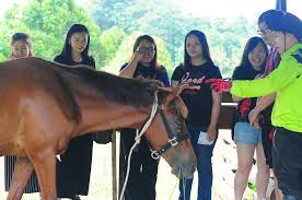 Derived from the malay word, 'kucing'. Attractions Visit Sarawak
