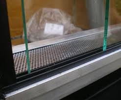 How To Make A Reptile Terrarium Vivarium Paludarium Reptile Terrarium How To Make Terrariums Terrarium