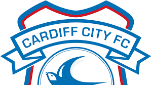 Graphic design elements (ai, eps, svg, pdf,png ). Petition Cardiff City Away Ticket Criteria Release Tickets On General Sale Change Org