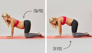 Pin On Prego Yoga