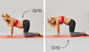 We know this is going to be a commonly used yoga pose while you are pregnant to stay comfortable during the months you are pregnant. Pin On Prego Yoga