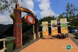 Кафе «cameron valley tea house 2» 1.7 км. Cameron Valley Tea House 1 Cameron Highlands