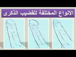 افضل شكل قضيب تحبه المرأة Youtube
