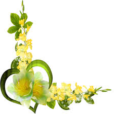 Sierranden 30 Sierranden Galerij Flower Frame Yellow Flowers Flower Decorations