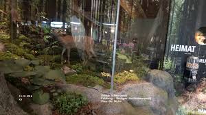Photos, address, and phone number, opening hours, photos, and user reviews on yandex.maps. Haus Der Natur Feldberg Youtube