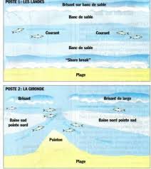 Mouvement Du Poisson Roro33 Peche En Mer Peche Plage