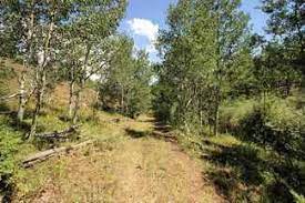 We did not find results for: Land For Sale Property For Sale In Grand County Colorado Lands Of America