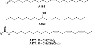 Image result for Cyperus breviradius
