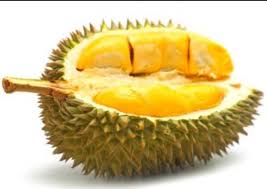 The king of delicious durians. Durian Musang King Malaysia Sejarah Singkat Dan Ciri Ciri Buah Yang Asli Anam Seo