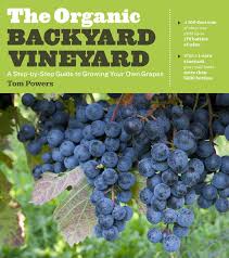 Location, soil, slope, accessibility and weather. Start An Organic Backyard Vineyard Green Homes Natural Home Amp Garden